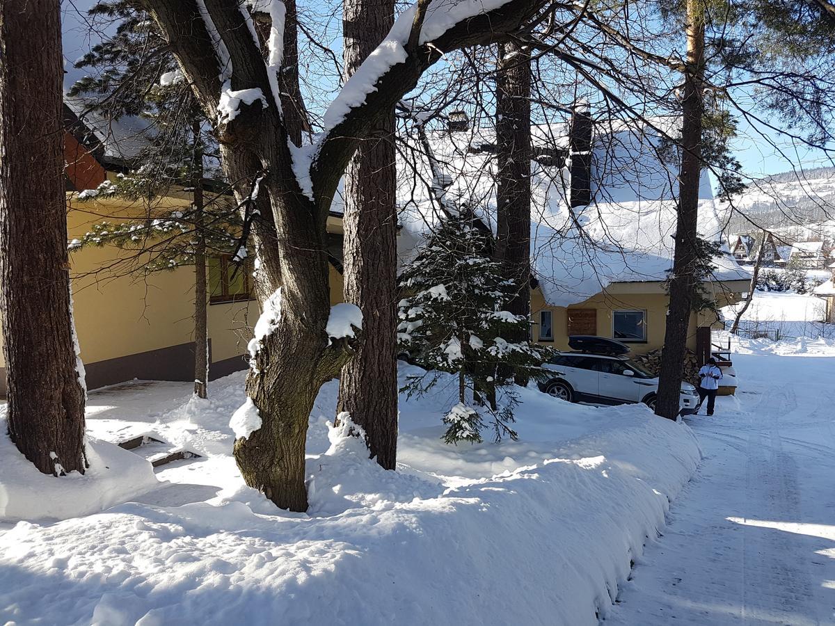 Willa Sunshine Zakopane Chalet Exterior photo