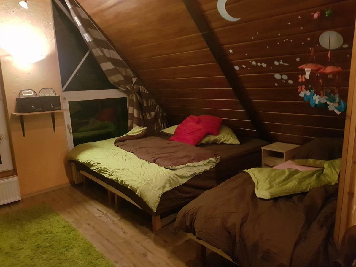 Willa Sunshine Zakopane Chalet Exterior photo